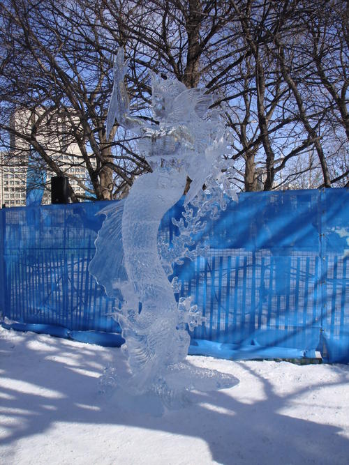 DSC02857.JPG