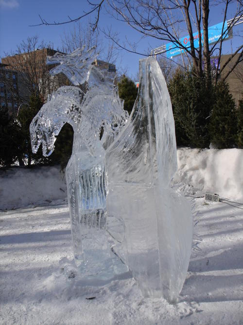 DSC02862.JPG